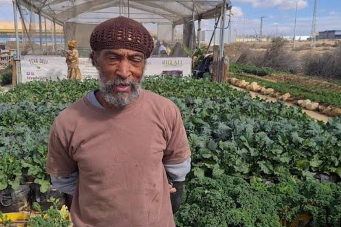 Organic farming